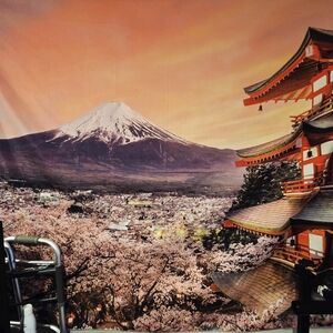 Scenic Japanese Wall Art with Mount Fuji